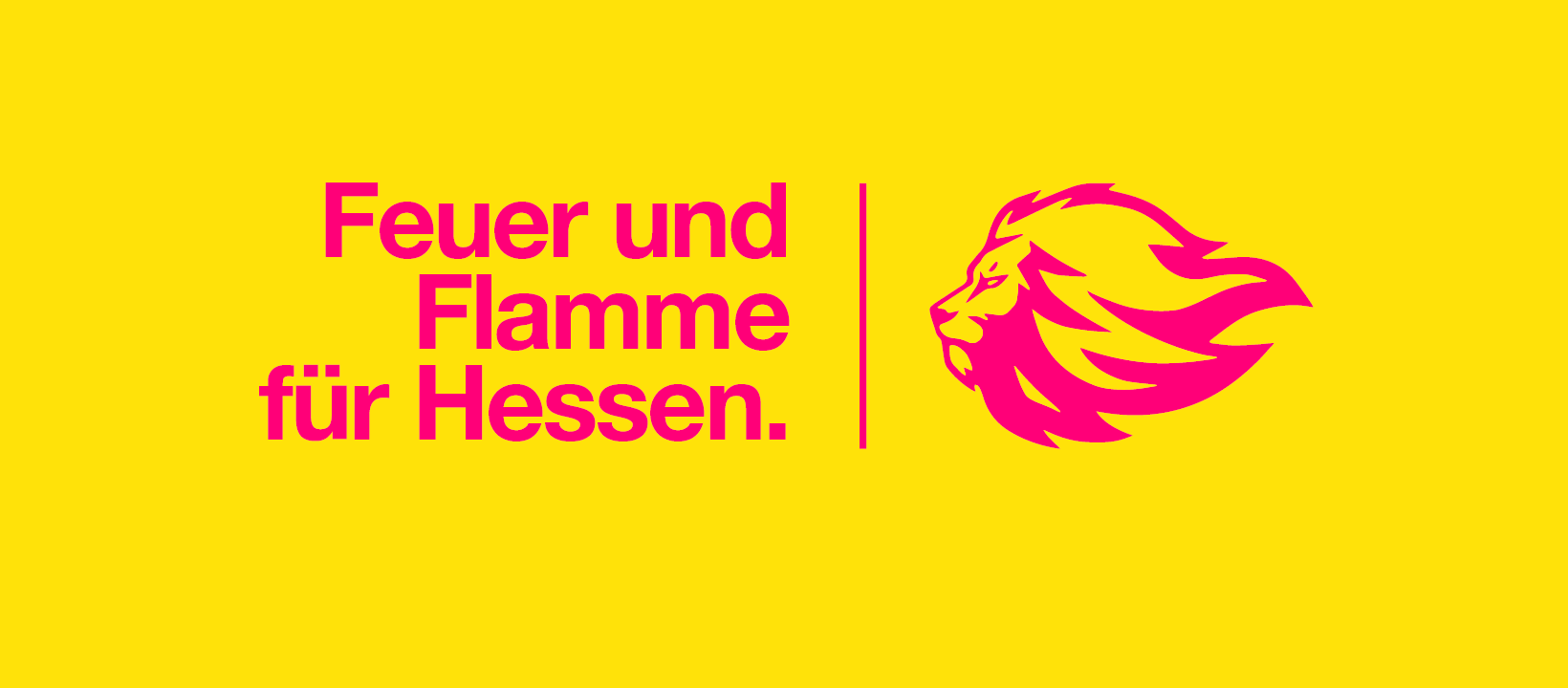 Feuer und Flamme für Hessen FDP